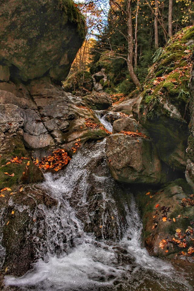 22853169_913232725508298_3925359368368768426_n