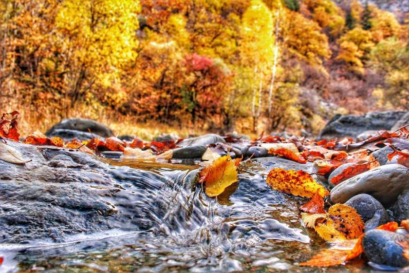 22885757_913232565508314_5122763072942726856_n