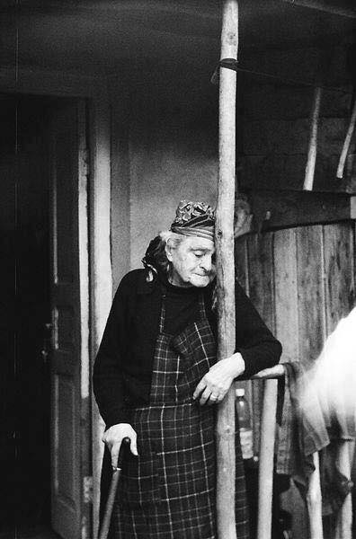 46319969_208030503415296_5961669040710615040_n