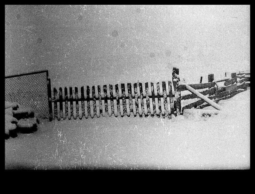 46415014_914433608763013_4890370855533543424_n