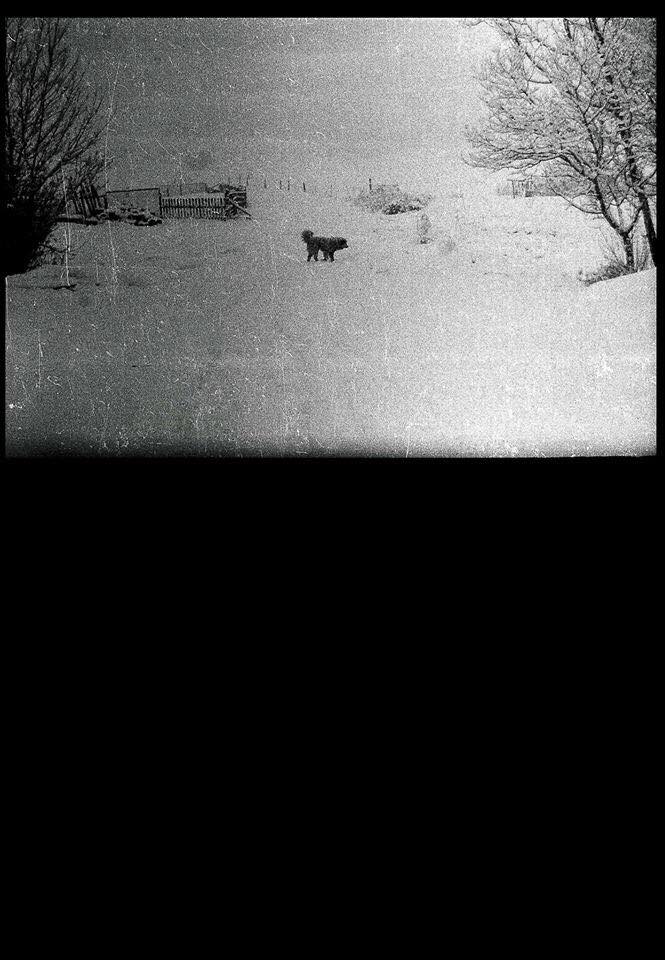 46468584_349268539170945_512368016202137600_n