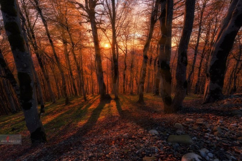 14992051_1142708015784435_4081515392928462994_n