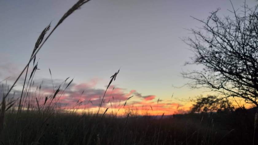 received_2239288389647608